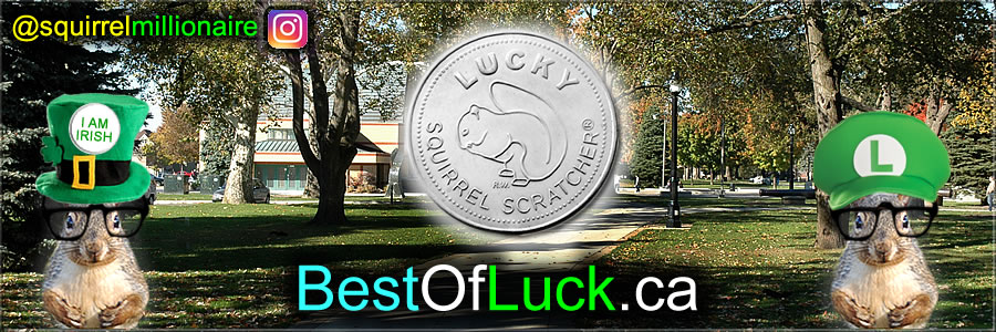 You can BUY This Domain Name - > BestOfLuck.ca